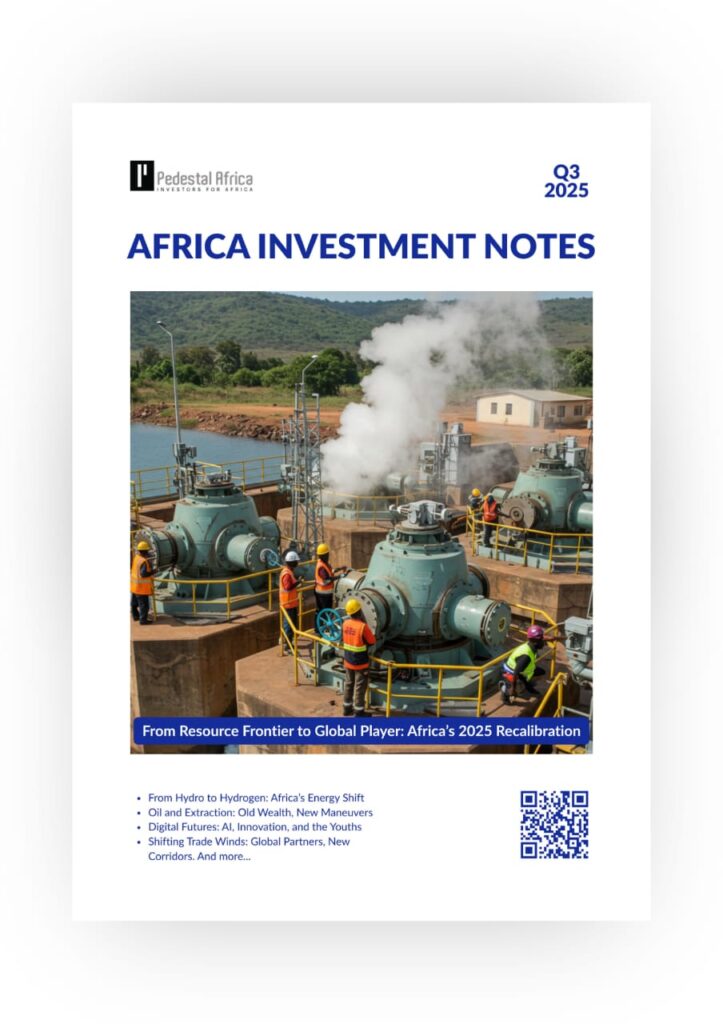 AFRICA INVESTMENT NOTES
