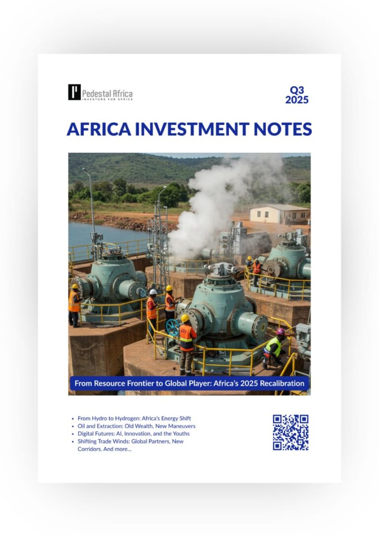 AFRICA INVESTMENT NOTES