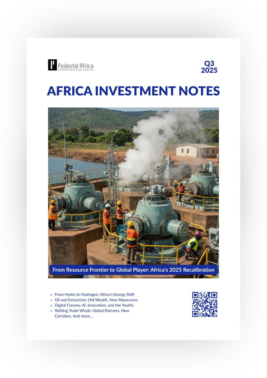AFRICA INVESTMENT NOTES